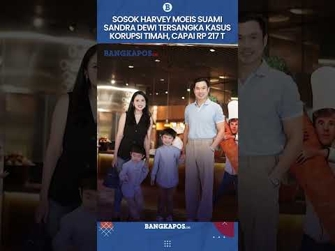 Sosok Harvey Moeis Suami Sandra Dewi Tersangka Kasus Korupsi Timah, Capai Rp  217 Triliun