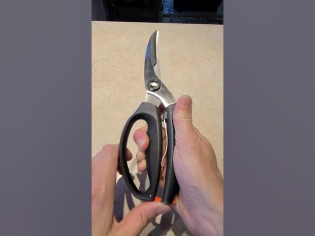 OXO Poultry Shears