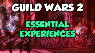 Guild Wars 2 ESSENTIAL EXPERIENCES