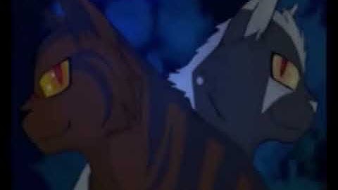 ωну ∂ι∂ уσυ ¢нαηgє? (longtail.darkstripe.tigerclaw) (By DuckFeatherz) (CW)