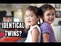 Not so Identical Twins -  ItsJudysLife Vlogs