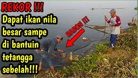 Rekor mancing di pinggir danau jatiluhur strike ikan nila besar
