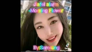 Flower (Jiafei Remix.) 