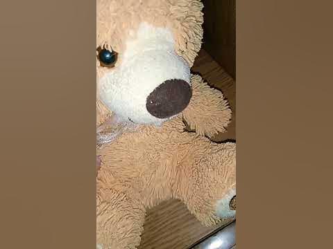 Теді - YouTube