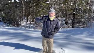 A Little Snow Science