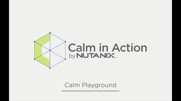 Calm in Action: Calm Playground