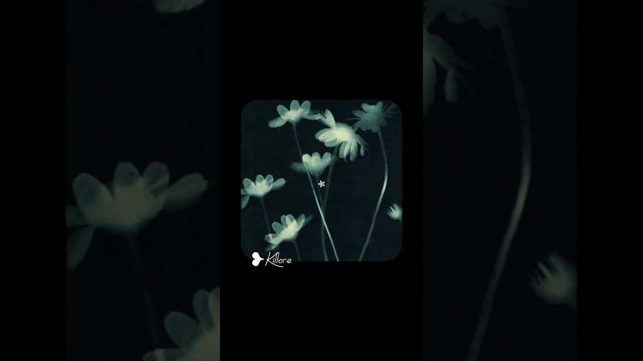 New Vids coming soon 