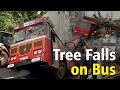Tree Fell on Bus | Accident #busaccident #srilankanews