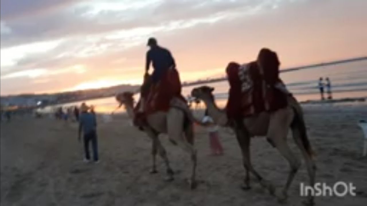 اجيو تشوفو معنا جمال مدينة شفشاون 🥰🥰