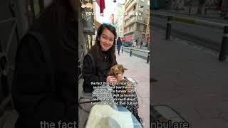 Istanbul - It is a city with a lot of love for cats #funny #clevercats #foryou #funnycat #pet