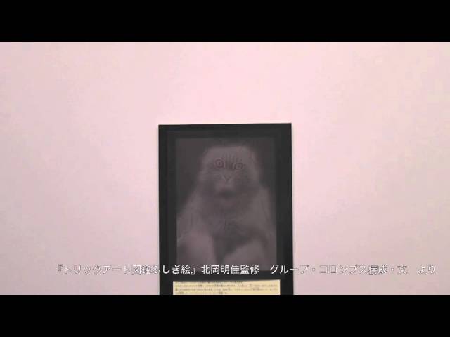トリックアート図鑑『ふしぎ絵』（あかね書房） 【ハイブリッド 