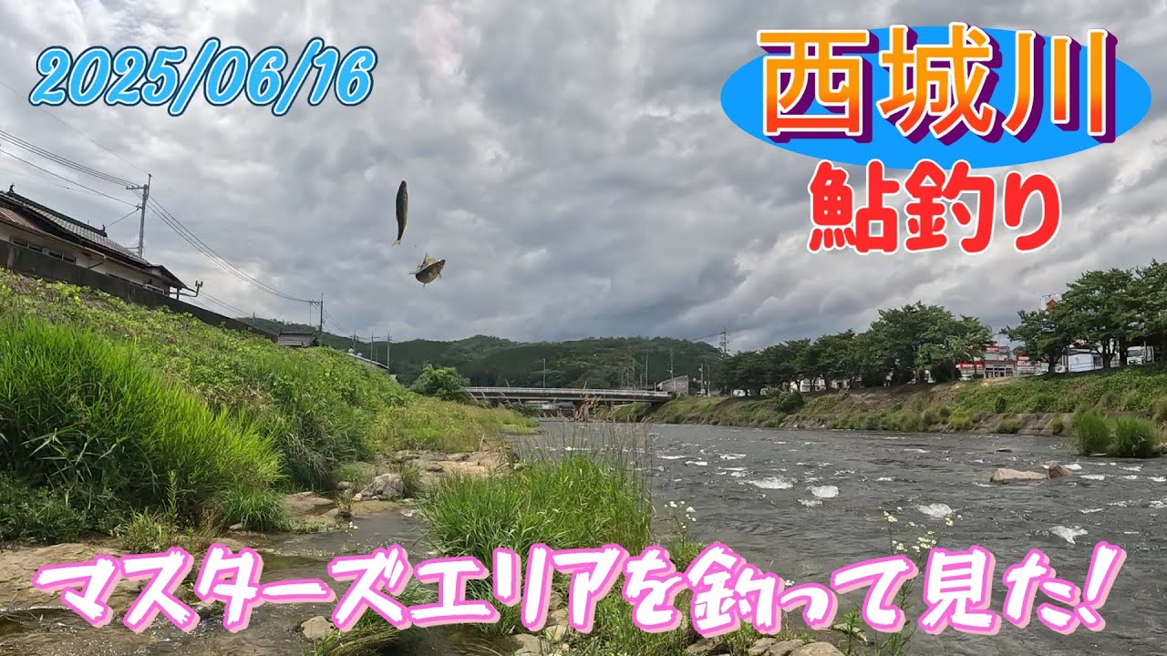 庄原市西城川、2025鮎マスターズエリアを釣ってみた。 - YouTube