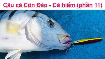 Câu cá Côn Đảo - Cá hiếm (phần 11) | Câu Cá Giải Rượu