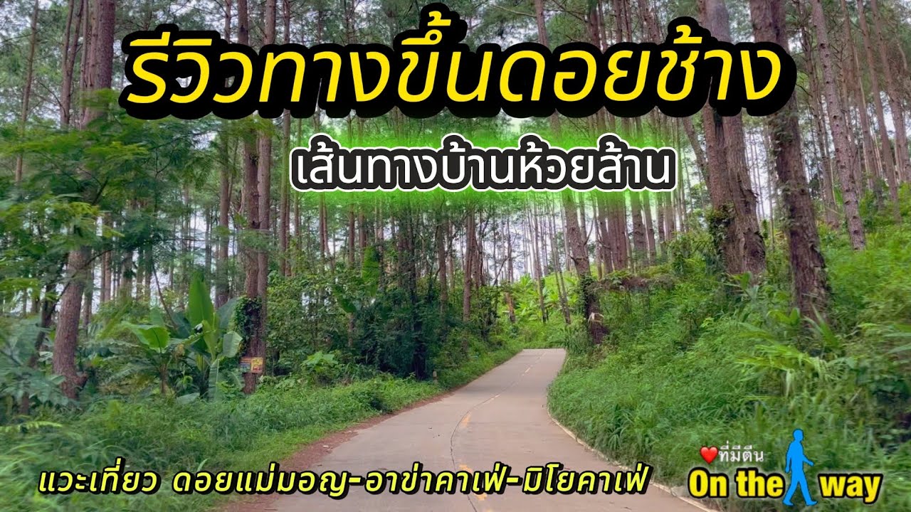 รีวิวทางขึ้นดอยช้างเชียงราย เส้นทางบ้านห้วยส้าน แวะเที่ยวดอยแม่มอญ-สวนสน-คาเฟ่แกะ-miyocafe’