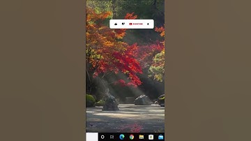 Connected to wifi but no internet access windows 10 FIx ( 2025 )