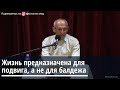 Торсунов О.Г.  Жизнь предназначена для подвига, а не для балдежа