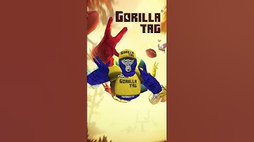 Can You Find All the Changes? #gorillatag #gtag #vr