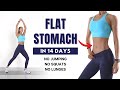 Flat stomach in 14 days  belly fat burn15 min standing workout  no jumping no squats no lunges
