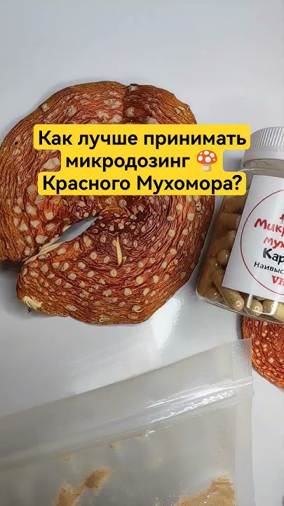 Как лучше принимать микродозинг 🍄 Красного Мухомора? #микродозинг # ...