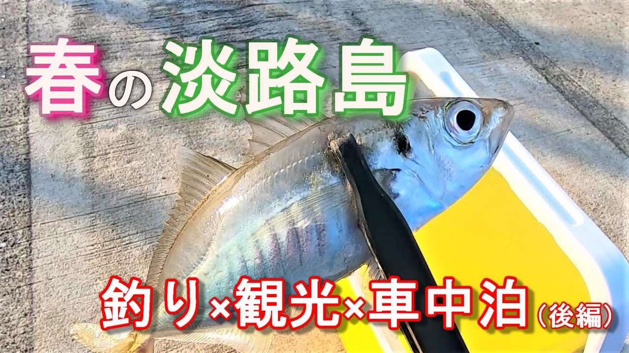 アジング 春の淡路島を全力で楽しんで帰る ひとり旅 Youtube