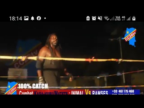COMBAT CATCH CONGOLAIS MATETE 2023 AVEC CHAMPION ANIMAL VS RAMSES ...