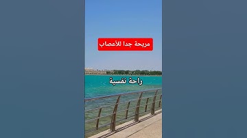 أجمل تلاوة و صوت مريح #اكسبلور #السعودية #تيك_توك #ترند #عمان #دويتو #كلام_من_ذهب #الهلال