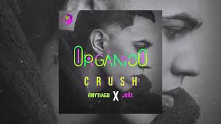 Brytiago, Jon Z, Cromo x - CRUSH  (Audio)