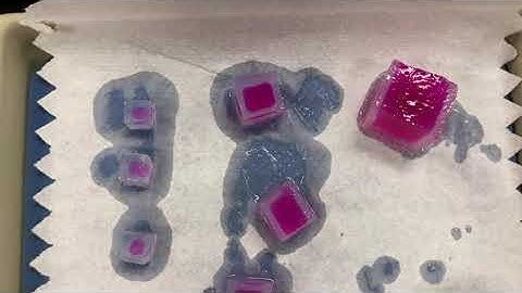 Agar Cube Diffusion Lab