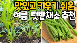 Growing Morning Glory, How to cook Morning Glory