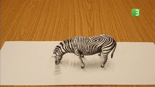 رسم حمار وحشي 3D ART