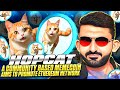 🔥NEW HIDDEN GEM HOPCAT TOKEN 🔥 1000X SOON 🔥 AMAZING PROJECT 🔥