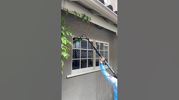 Cleaning French Windows With A Water-Fed Pole – Easy & Streak-Free!