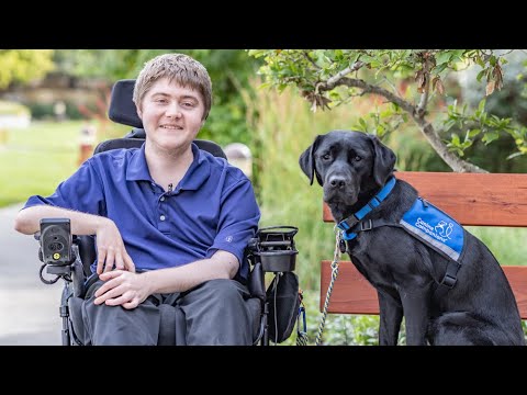 Canine Companions - video from Hurley Palmer Flatt
