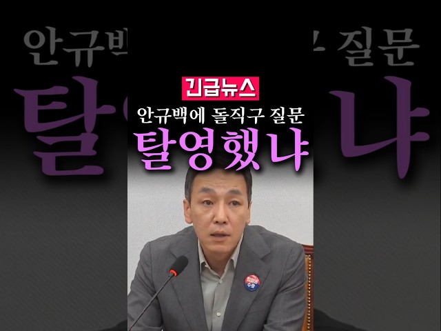 (속보) 김민수, 안규백 장관에 돌직구 질문...