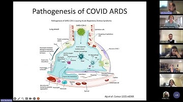 Rationale and design of current trials in PRACTICAL: CORT E2 by Drs. B. Rochwerg and L. del Sorbo