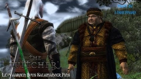 Witcher 1 Mod: Leuvaarden Buys Salamander Pins