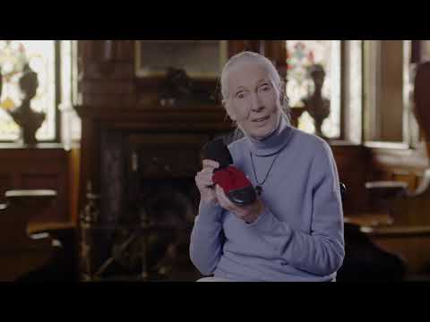 Meet Dr. Jane: Why Do You Cherish a Boot Worn by a Rescue Dog?