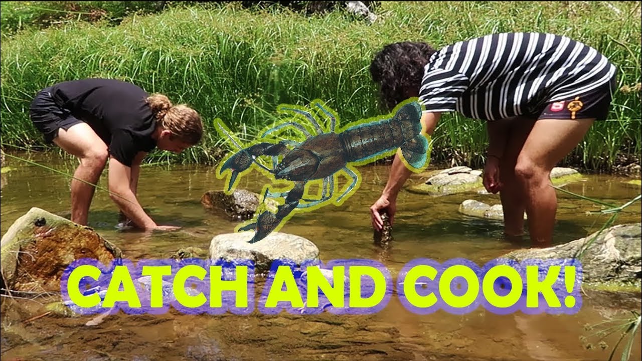 CATCHING AND EATING YABBIES! 