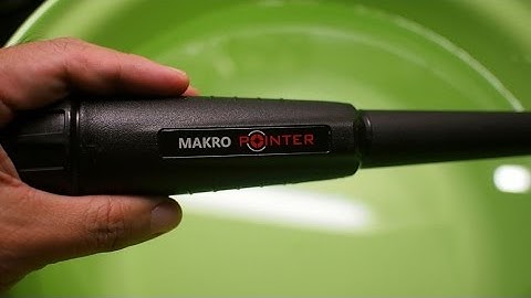 Makro Pointer in water