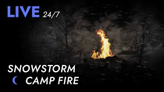 🔴 Campfire in Snowstorm for Sleeping 24/7 - Dimmed Screen | Blizzard Sounds, Deep Sleep - Livestream