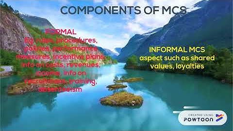 Management Control System (MCS)