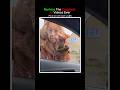 Ranking The Creepiest AI Videos Ever #shorts