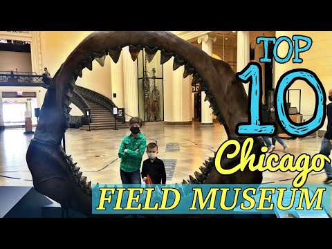 Video: De Top 7 Musea In Chicago Die Je Niet Mag Missen