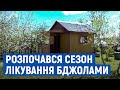 На Новгород-Сіверщині розпочався сезон апітерапії – лікування бджолами