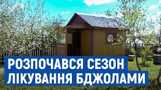 На Новгород-Сіверщині розпочався сезон апітерапії – лікування бджолами