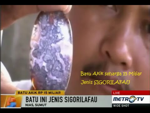 Heboh !!! Batu Akik Seharga 15 Miliar Jenis SAGORILAFAU Ditemukan Di Nias SUM-UT