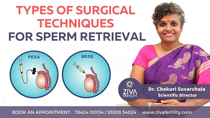 PESA, MESA, TESA || Sperm Retrieval Techniques || Low Sperm Count Treatment || Dr Chekuri Suvarchala