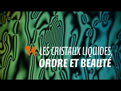 Les cristaux liquides : ordre et beauté