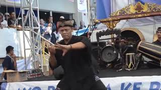 Pencak Silat Sekar Wangi