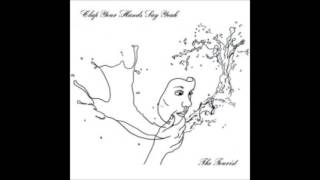 Watch Clap Your Hands Say Yeah A Chance To Cure video